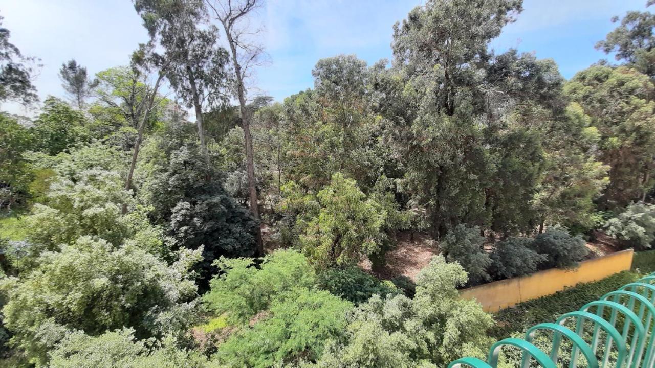 Forest View Lisboa Exteriör bild